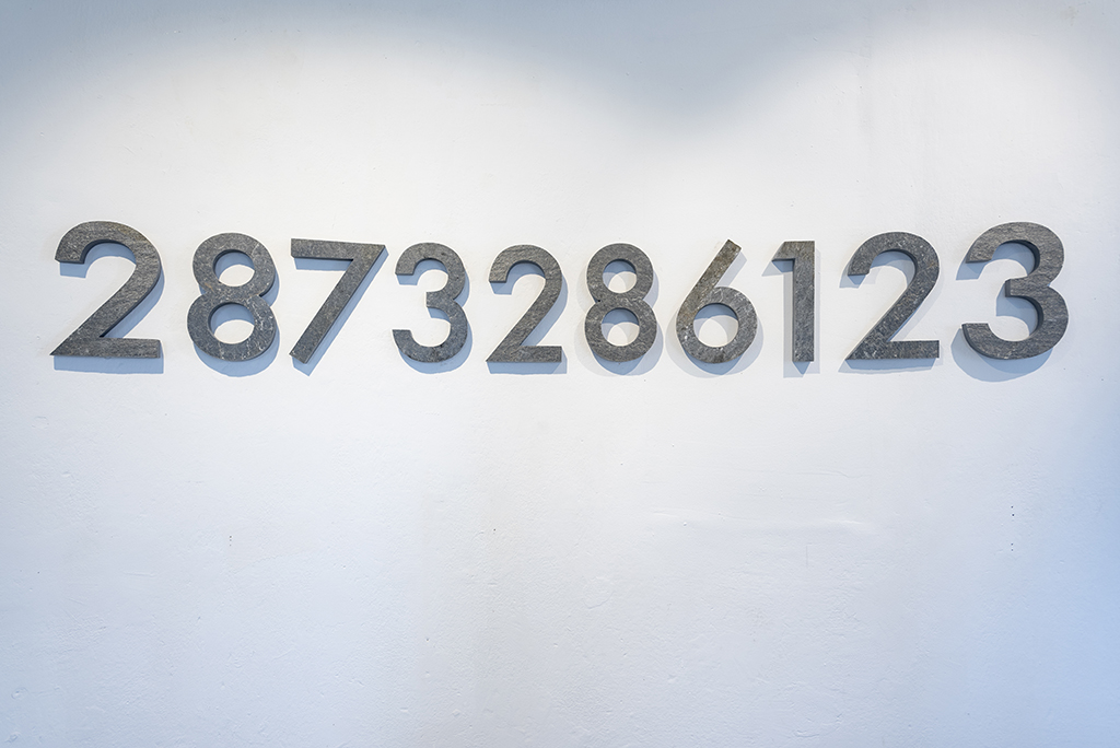 RS1_1477